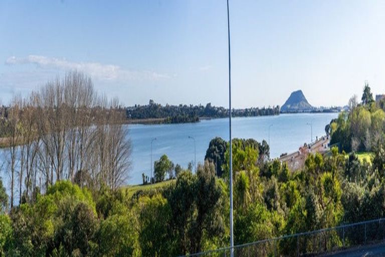 Photo of property in 6/29 Accadia Lane, Tauranga, 3110