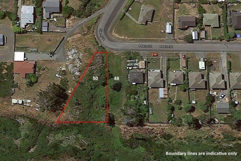 Photo of property in 50 Pearce Street, Bluff, 9814