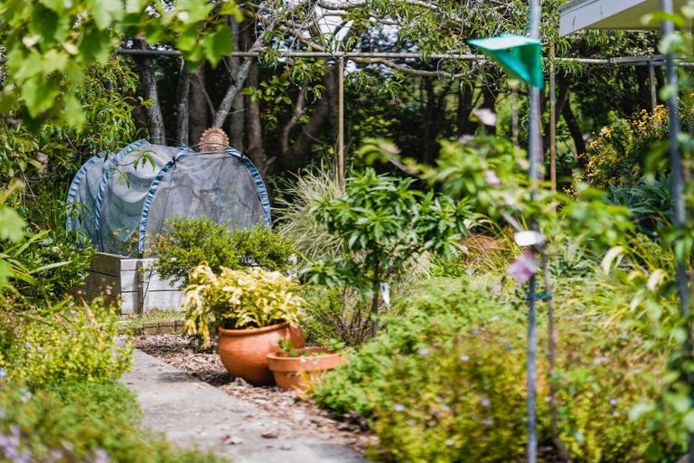 Photo of property in 60 Makora Road, Otaihanga, Paraparaumu, 5036