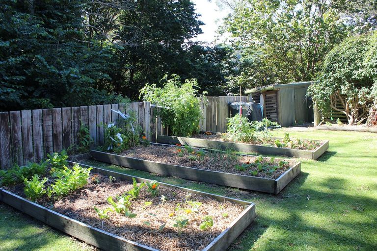 Photo of property in 57 Hauroa Road, Whataupoko, Gisborne, 4010