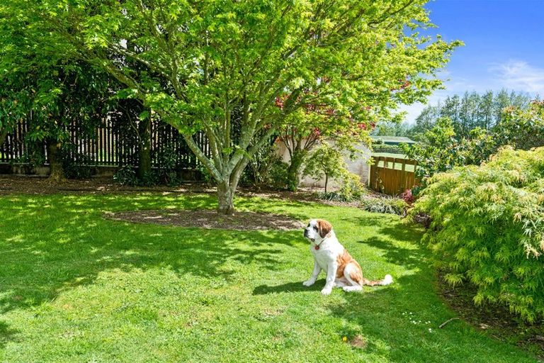 Photo of property in 11 Mannix Place, Matamata, 3400