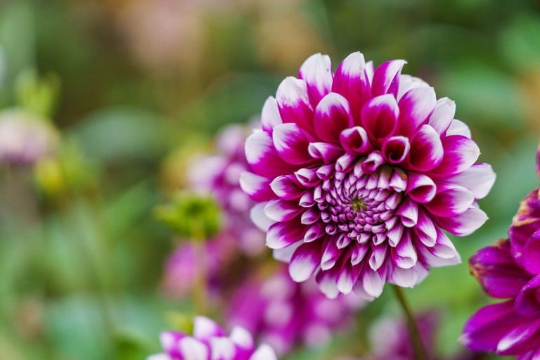 Photo of property in 288 Oropi Gorge Road, Oropi, Tauranga, 3173