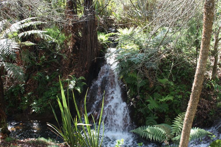 Photo of property in 4059 State Highway 23, Raglan, 3295