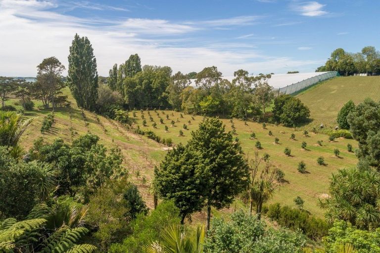 Photo of property in 196 Pahoia Road, Whakamarama, Tauranga, 3172