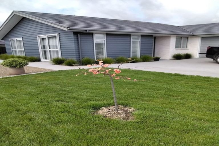 Photo of property in 22 Olney Court, One Tree Point, 0118