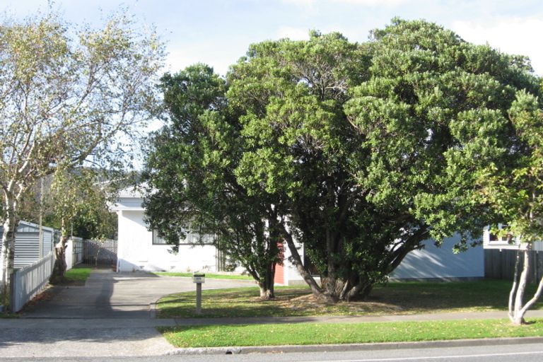 Photo of property in 370 Cambridge Terrace, Naenae, Lower Hutt, 5011