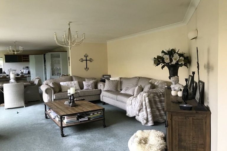 Photo of property in 59b Bayfair Drive, Mount Maunganui, 3116