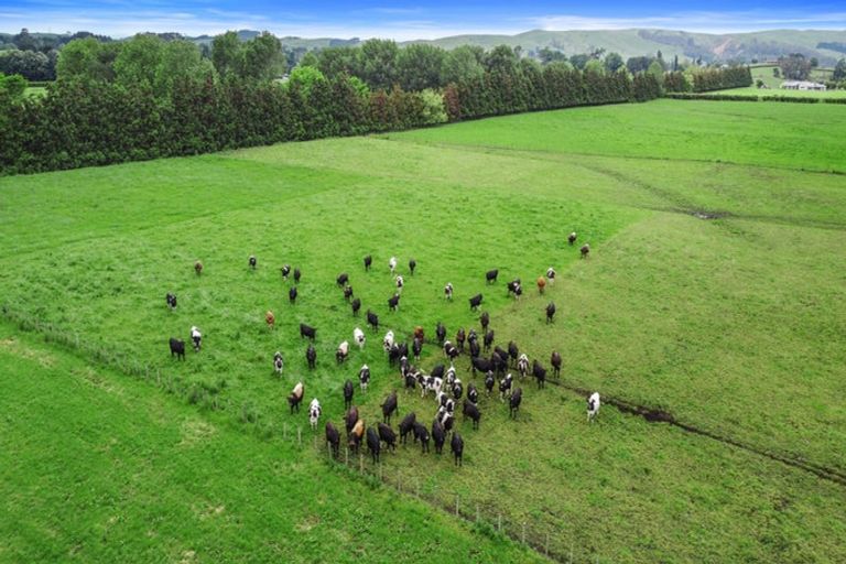 Photo of property in 1887b State Highway 26, Motumaoho, Morrinsville, 3372