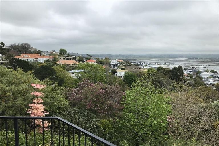 Photo of property in 14 Coleman Terrace, Hospital Hill, Napier, 4110