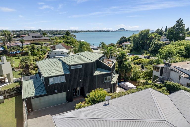 Photo of property in 202 Maungatapu Road, Maungatapu, Tauranga, 3112