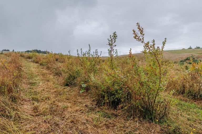 Photo of property in 790 Pungaere Road, Waipapa, 0295