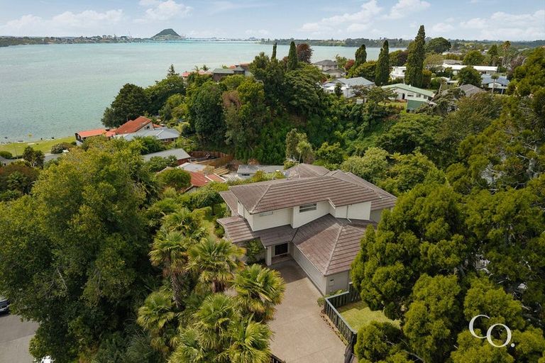 Photo of property in 214 Maungatapu Road, Maungatapu, Tauranga, 3112
