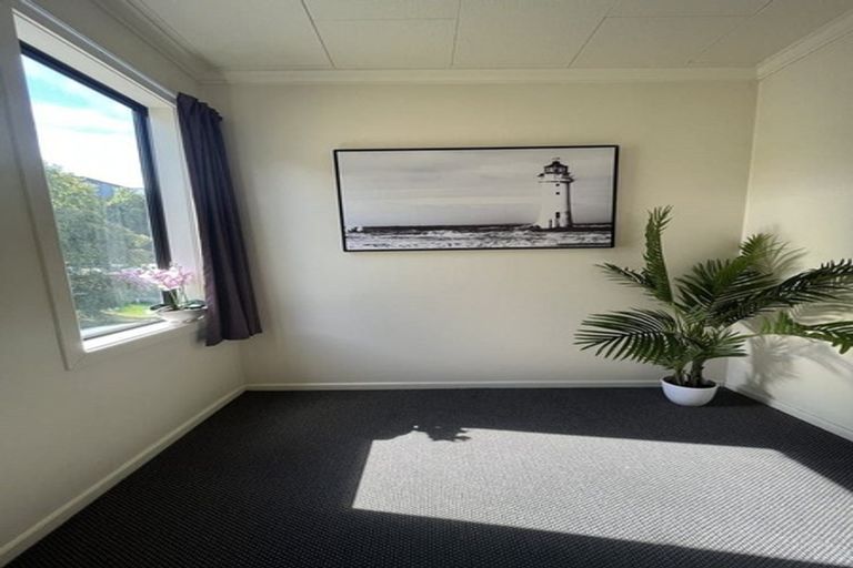 Photo of property in 17a Serpentine Avenue, Dunedin Central, Dunedin, 9016