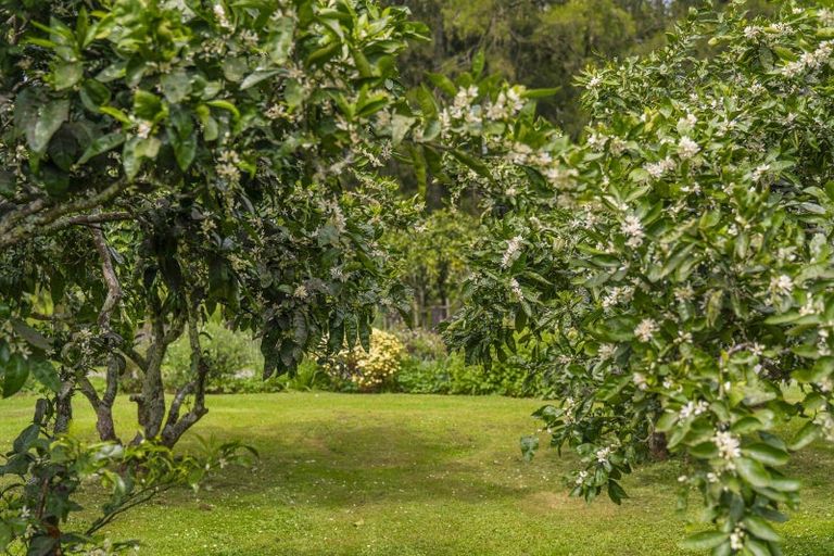 Photo of property in 895 State Highway 25, Whenuakite, Whitianga, 3591