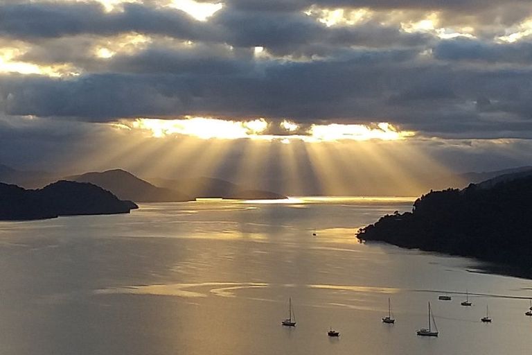 Photo of property in 169 Anakiwa Road, Anakiwa, Picton, 7281