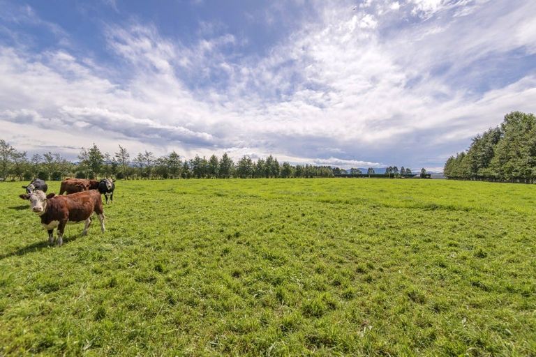 Photo of property in 665 Wolffs Road, Eyrewell, Rangiora, 7476