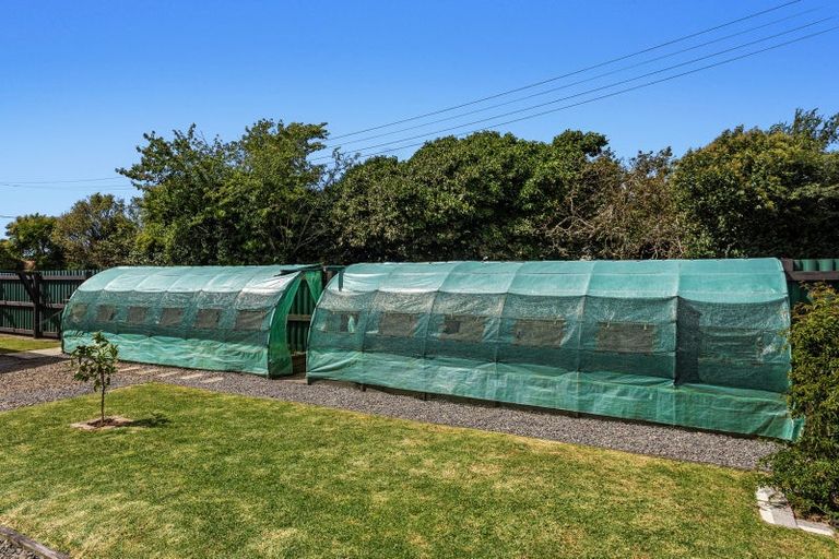 Photo of property in 48 Richard Street, Opotiki, 3122