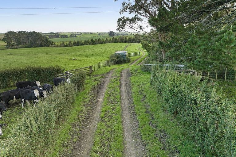 Photo of property in 290 Ostrich Road, Patumahoe, Pukekohe, 2679