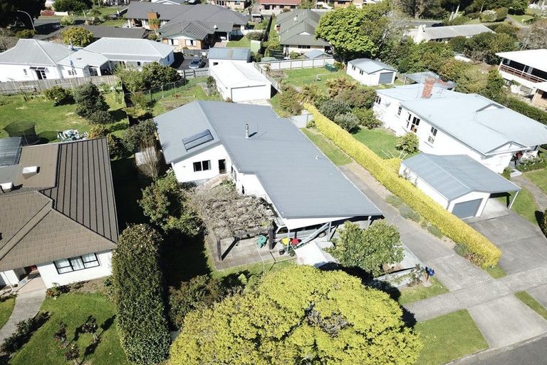 Photo of property in 38 Boucher Avenue, Te Puke, 3119