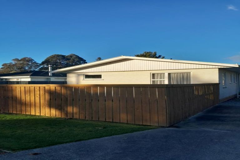 Photo of property in 121 Fairfax Street, Murchison, 7007