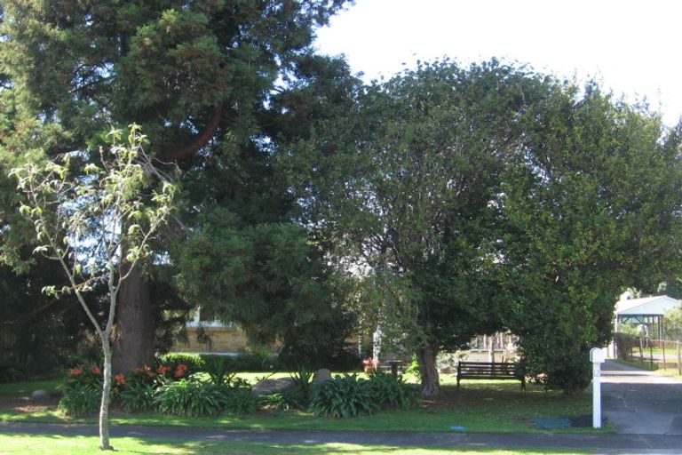 Photo of property in 12 Henderson Crescent, Parkvale, Tauranga, 3112