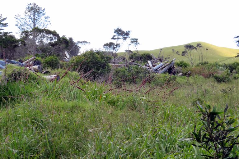 Photo of property in 260 Kimberley Road, Houhora, Kaitaia, 0484