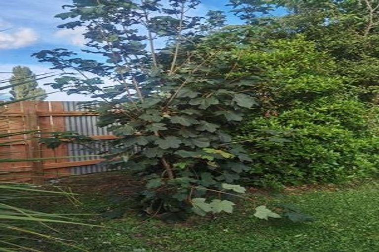 Photo of property in 3 Hengist Street, Norsewood, 4974