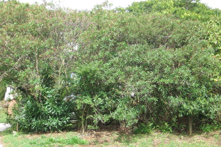 Photo of property in 43 Edmonton Road, Henderson, Auckland, 0612