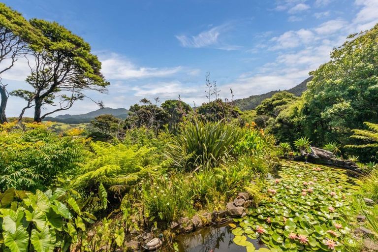 Photo of property in 800 Buffalo Road, Coromandel, 3506
