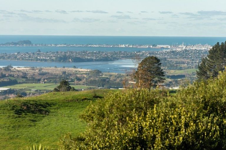 Photo of property in 657 Minden Road, Minden, Tauranga, 3176