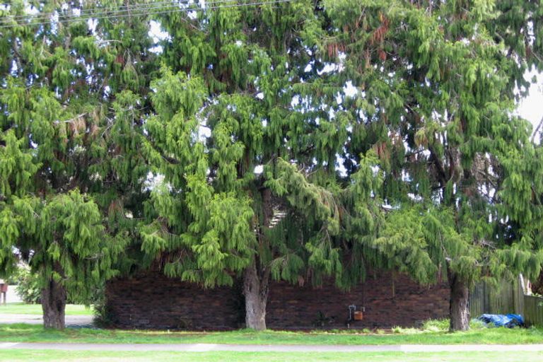 Photo of property in 41 Marlborough Street, Levin, 5510