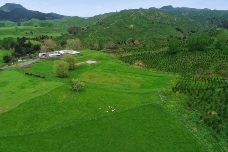 Photo of property in 987 Ongarue Back Road, Ongarue, Taumarunui, 3996