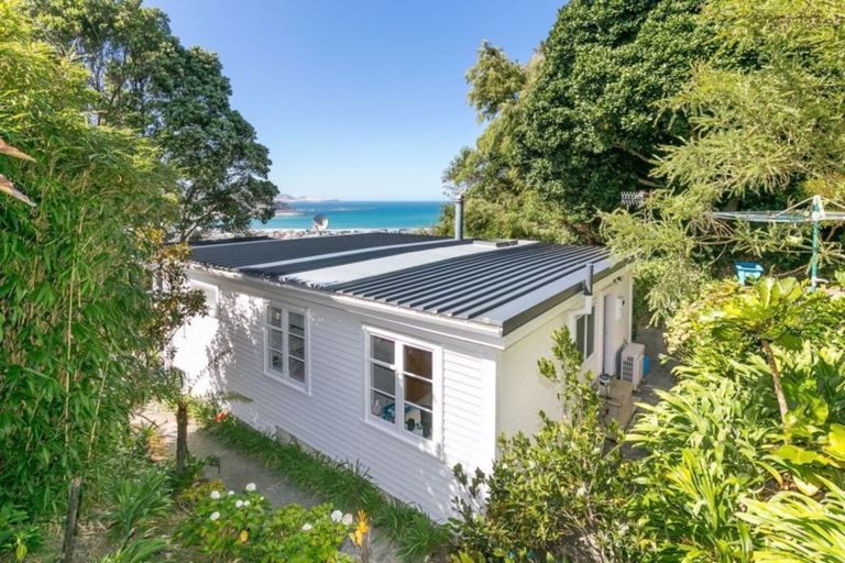Photo of property in 55 Buckingham Street, Melrose, Wellington, 6023