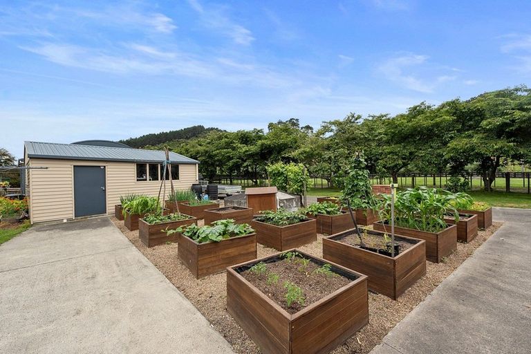 Photo of property in 17 Kauri Lane, Huntly, 3771