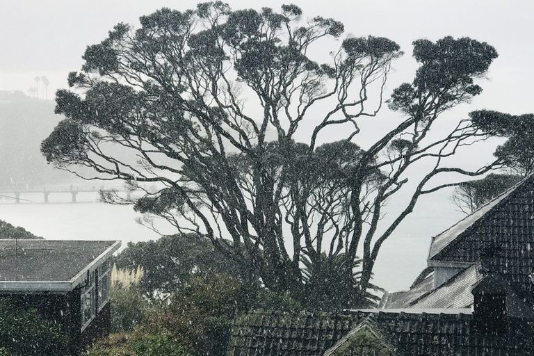 Photo of property in 23a Bournemouth Terrace, Murrays Bay, Auckland, 0630