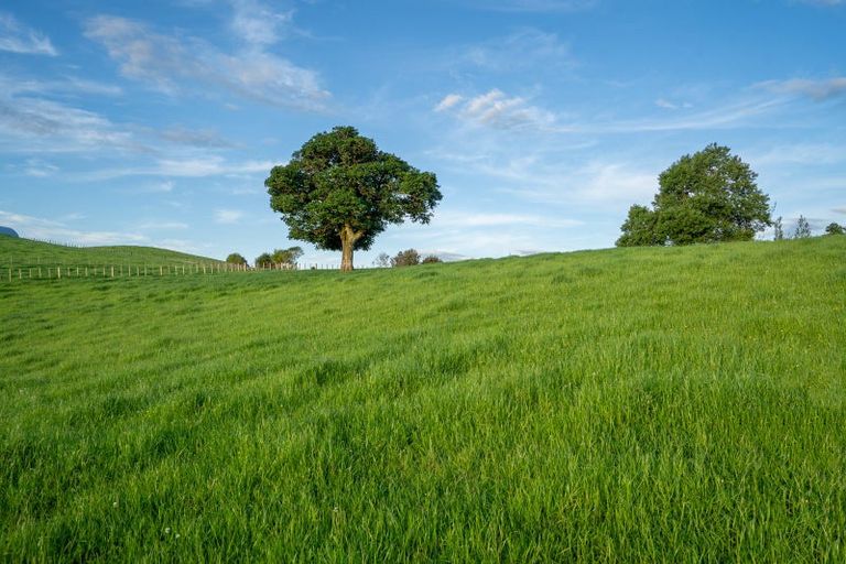 Photo of property in 699 Maungakawa Road, Te Miro, Cambridge, 3496