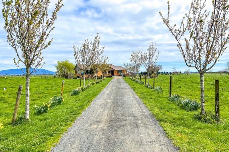 Photo of property in 599 Wallace Road, Ohaupo, Cambridge, 3495