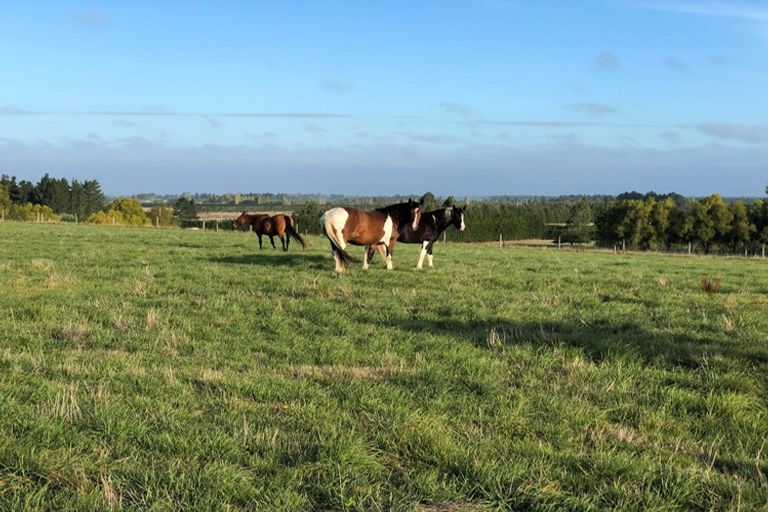 Photo of property in 830 Oxford Road, Fernside, Rangiora, 7471