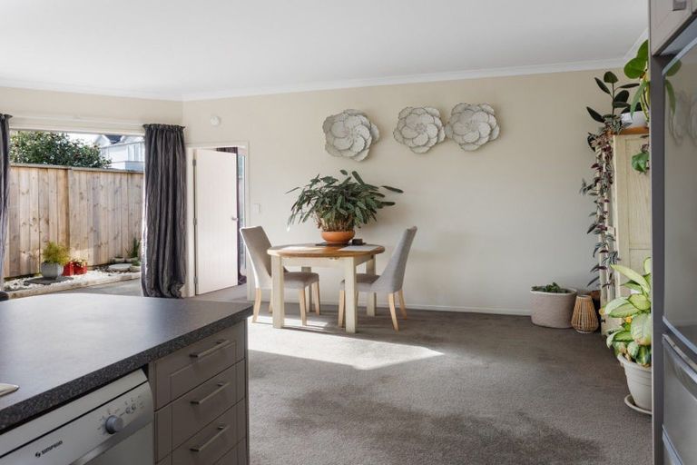 Photo of property in 7b Harrow Place, Mount Maunganui, 3116