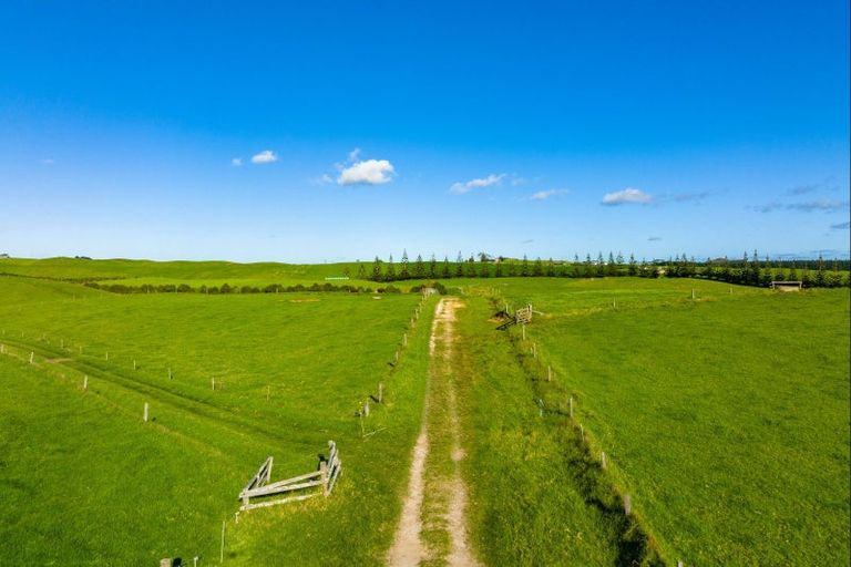 Photo of property in 1000 Redhill Road, Te Kopuru, Dargaville, 0371