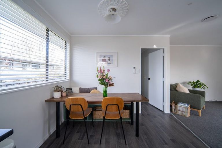 Photo of property in 45 Alison Street, Hamilton Lake, Hamilton, 3204