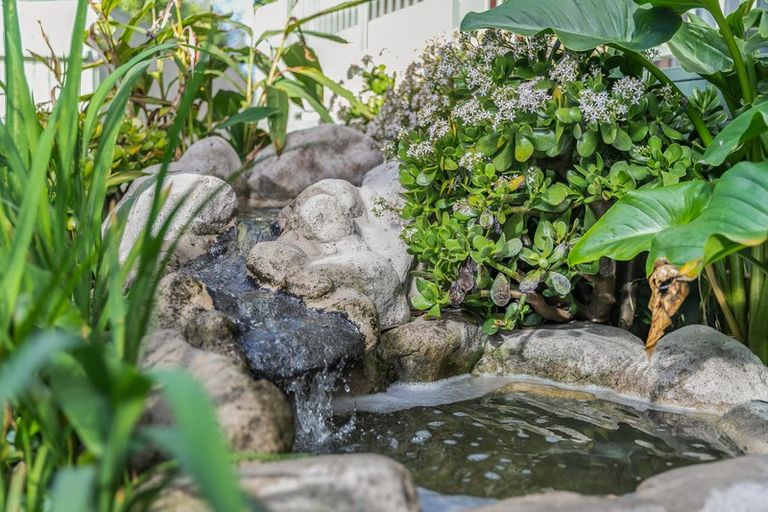 Photo of property in 16 Muirfield Street, Wattle Downs, Auckland, 2103