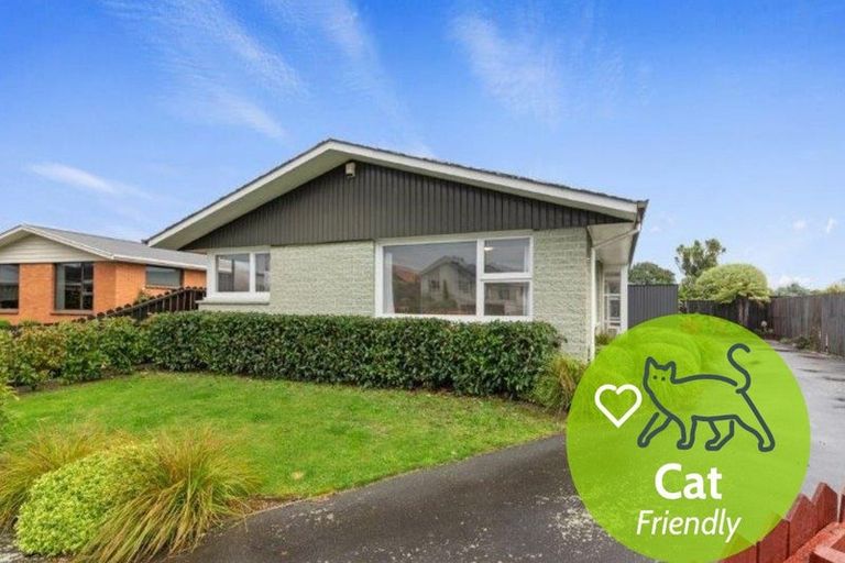 Photo of property in 9 Karaka Place, Somerfield, Christchurch, 8024