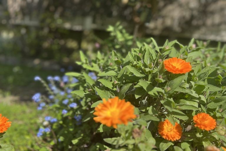 Photo of property in 94 Hill Road, Belmont, Lower Hutt, 5010