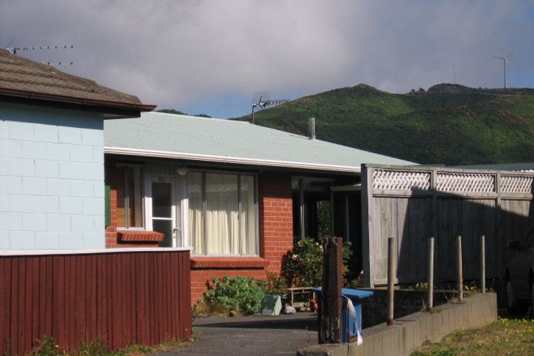 Photo of property in 21a Caribou Place, Kingston, Wellington, 6021