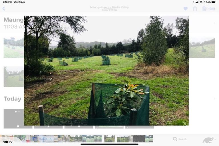 Photo of property in 1449 State Highway 14, Maungatapere, Whangarei, 0179