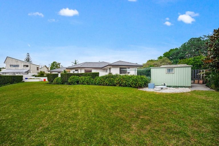 Photo of property in 51 Waimarie Road, Whenuapai, Auckland, 0618