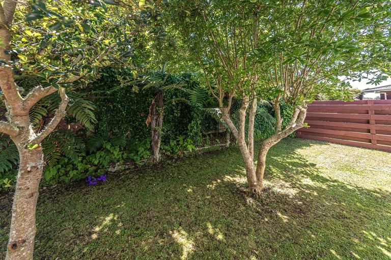 Photo of property in 17a Downes Avenue, Springvale, Whanganui, 4501