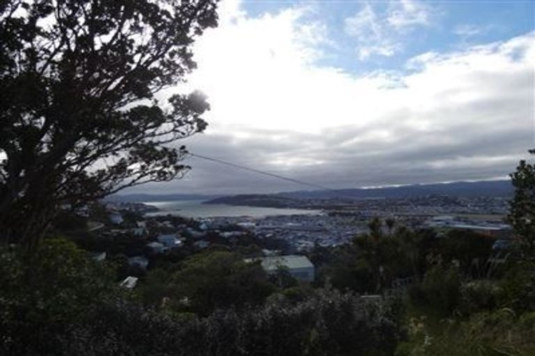 Photo of property in 36 Hornsey Road, Melrose, Wellington, 6023