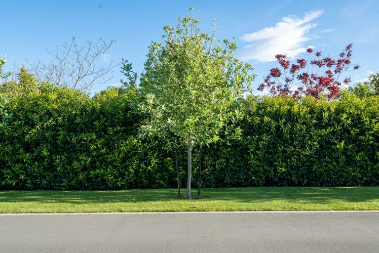 Photo of property in 167a Ashley Street, Rangiora, 7400
